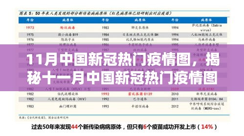 揭秘十一月中国新冠热门疫情图，科技与生活的融合神器
