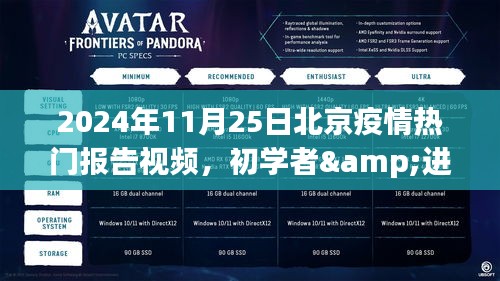 2024年11月25日北京疫情报告视频制作详解，适合初学者与进阶用户的全面指南