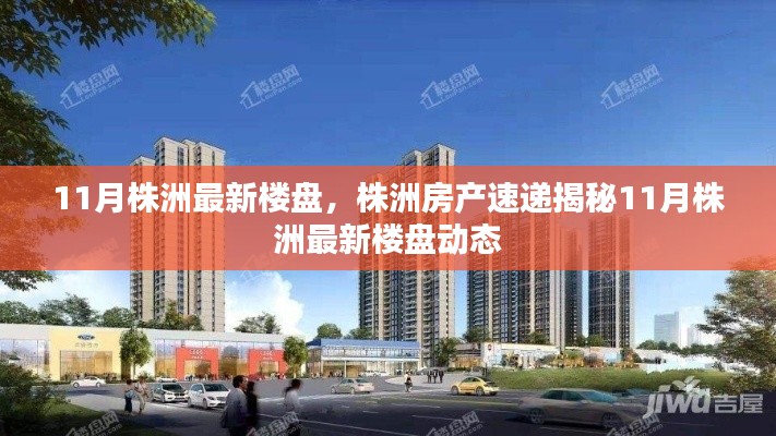揭秘株洲房产市场，最新楼盘动态速递，十一月楼市概览