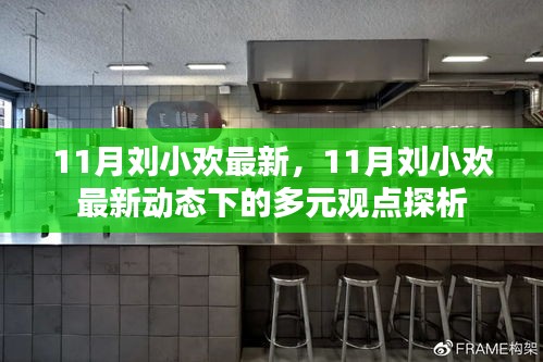 11月刘小欢最新动态，多元观点下的深度探析