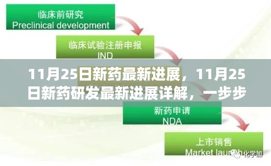 揭秘新药研发进展，从最新进展到技能学习，一步步了解新药研发流程