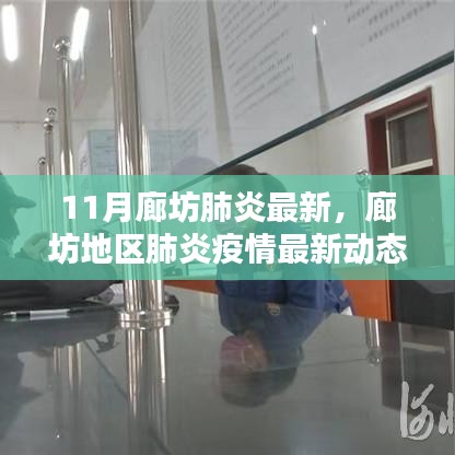 廊坊地区肺炎疫情最新动态解析与报告（11月最新）
