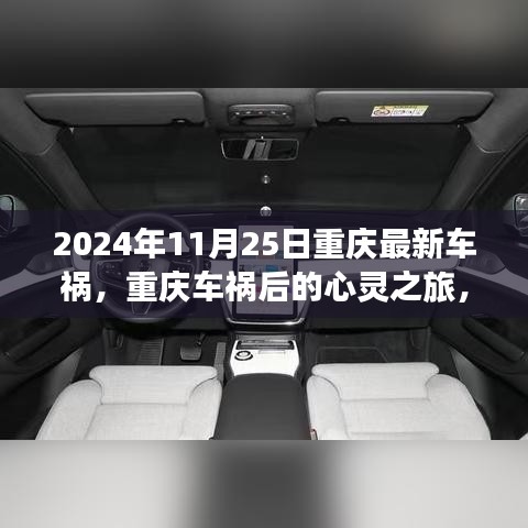 重庆车祸后的心灵之旅，自然美景中的内心平静探寻（2024年11月25日最新车祸）