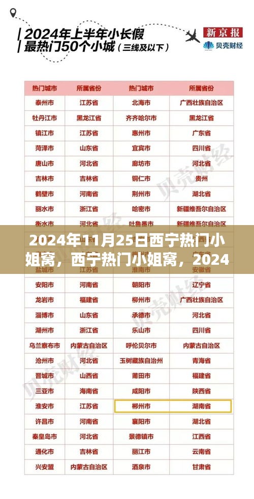 2024年11月25日西宁小姐窝事件回顾与影响分析