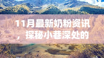 探秘奶粉秘境，揭秘最新奶粉资讯大解密