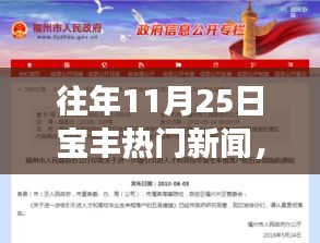 『往年11月25日宝丰热门新闻全解析，小红书带你领略风云变幻』