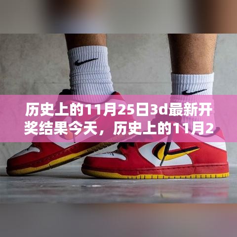 历史上的11月25日彩票开奖结果查询指南，轻松掌握最新开奖信息揭秘！