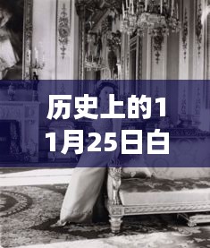 白鹿的时尚之旅，历史上的穿搭演变与11月25日的时尚启示