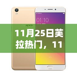11月25日芙拉热门，全面评测与详细介绍