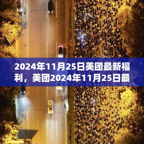 美团2024年11月25日独家福利详解与评测报告