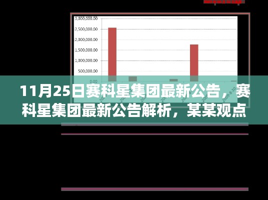 赛科星集团最新公告深度解析，聚焦观点下的剖析