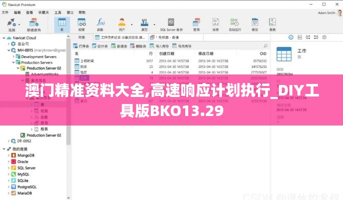 澳门精准资料大全,高速响应计划执行_DIY工具版BKO13.29