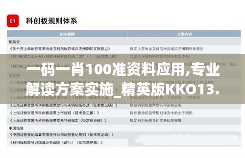 一码一肖100准资料应用,专业解读方案实施_精英版KKO13.21