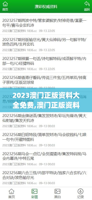 2023澳门正版资料大全免费,澳门正版资料免费大全公开,香港资料正版大全二四六,全身心数据指导枕_精选版QKY13.47