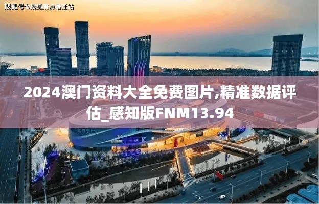 2024澳门资料大全免费图片,精准数据评估_感知版FNM13.94