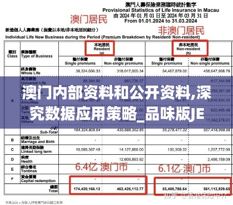 澳门内部资料和公开资料,深究数据应用策略_品味版JEI13.51