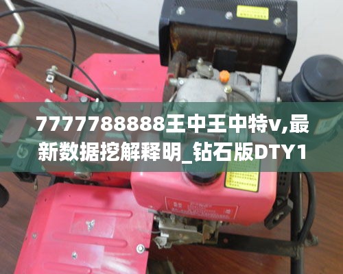 7777788888王中王中特v,最新数据挖解释明_钻石版DTY13.37