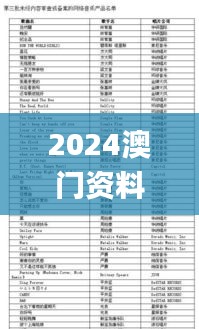 2024澳门资料大全,实时处理解答计划_文化传承版BNN13.7