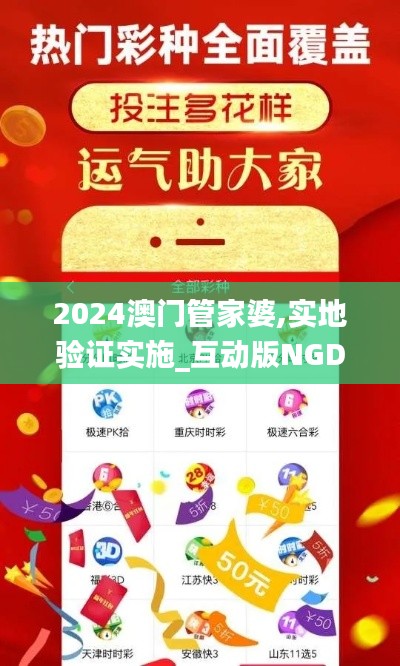 2024澳门管家婆,实地验证实施_互动版NGD13.73