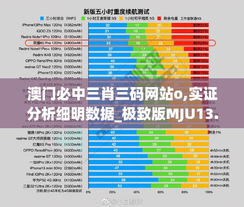 澳门必中三肖三码网站o,实证分析细明数据_极致版MJU13.71