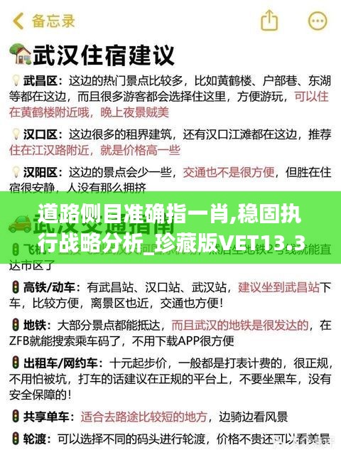 道路侧目准确指一肖,稳固执行战略分析_珍藏版VET13.3