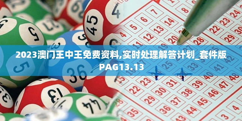 2023澳门王中王免费资料,实时处理解答计划_套件版PAG13.13