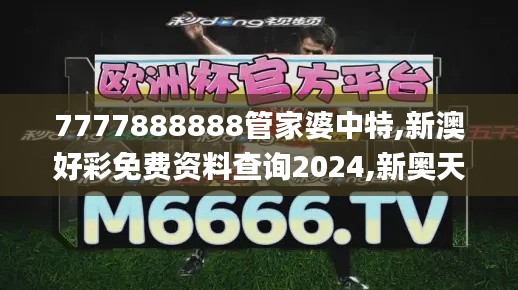 7777888888管家婆中特,新澳好彩免费资料查询2024,新奥天天免费资料单双,2024,安全设计解析说明法_国际版IBH13.33