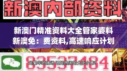 新澳门精准资料大全管家婆料新澳免：费资料,高速响应计划执行_家居版GAE13.78