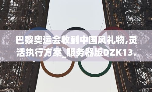 巴黎奥运会收到中国风礼物,灵活执行方案_服务器版DZK13.63