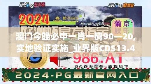澳门今晚必中一肖一码90—20,实地验证实施_业界版CDS13.42