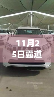 重磅来袭！霸道换代最新消息揭秘，变化中的学习力量激发自信与成就激情！