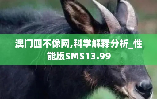 澳门四不像网,科学解释分析_性能版SMS13.99