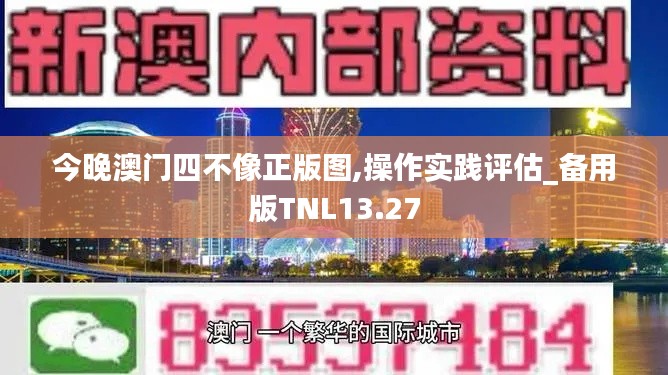 今晚澳门四不像正版图,操作实践评估_备用版TNL13.27