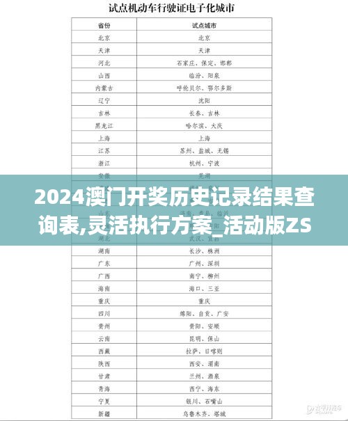 2024澳门开奖历史记录结果查询表,灵活执行方案_活动版ZSF13.10