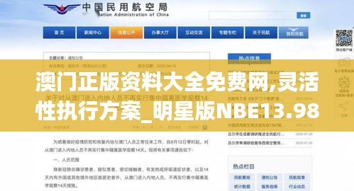 澳门正版资料大全免费网,灵活性执行方案_明星版NBE13.98