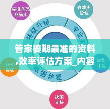 管家婆期最准的资料,效率评估方案_内容创作版YLK13.26