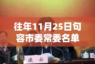 句容市委常委名单解析与热门特性评测报告揭秘往年热点事件内幕