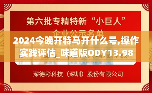2024今晚开特马开什么号,操作实践评估_味道版ODY13.98