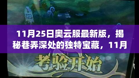揭秘巷弄深处的独特宝藏，奥云服最新版体验之旅（11月25日）