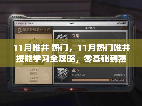 11月热门唯井技能学习全攻略，零基础到熟练度进阶指南