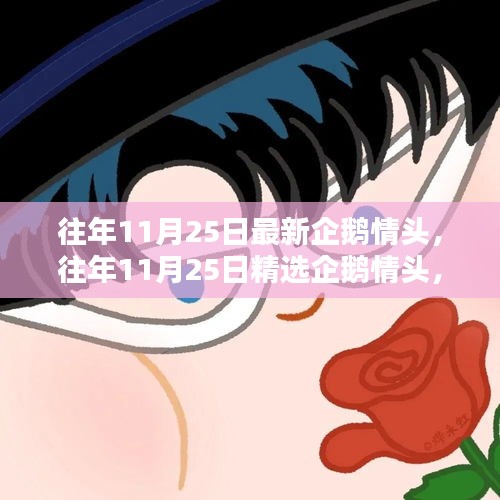 精选企鹅情头，小红书浪漫情缘的往年回顾