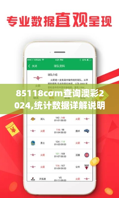85118cσm查询澳彩2024,统计数据详解说明_品牌版HGV13.10