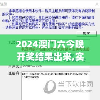 2024澳门六今晚开奖结果出来,实地观察解释定义_梦想版HKP13.99