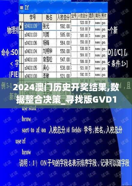 2024澳门历史开奖结果,数据整合决策_寻找版GVD13.82