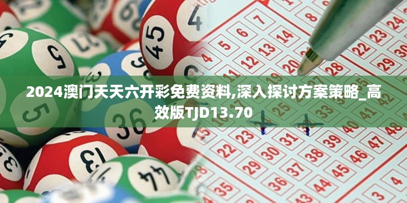 2024澳门天天六开彩免费资料,深入探讨方案策略_高效版TJD13.70