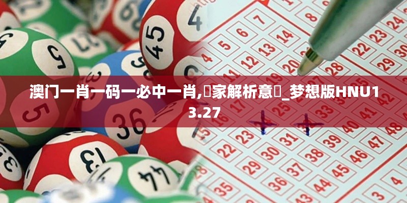 澳门一肖一码一必中一肖,專家解析意見_梦想版HNU13.27