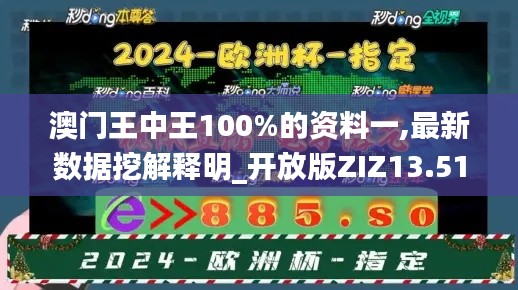 澳门王中王100%的资料一,最新数据挖解释明_开放版ZIZ13.51