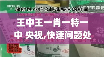 王中王一肖一特一中 央视,快速问题处理_紧凑版EDT13.74