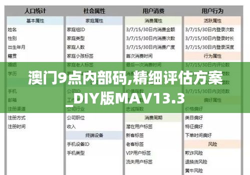澳门9点内部码,精细评估方案_DIY版MAV13.3