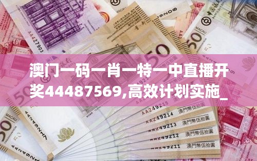 澳门一码一肖一特一中直播开奖44487569,高效计划实施_分析版FLG13.3